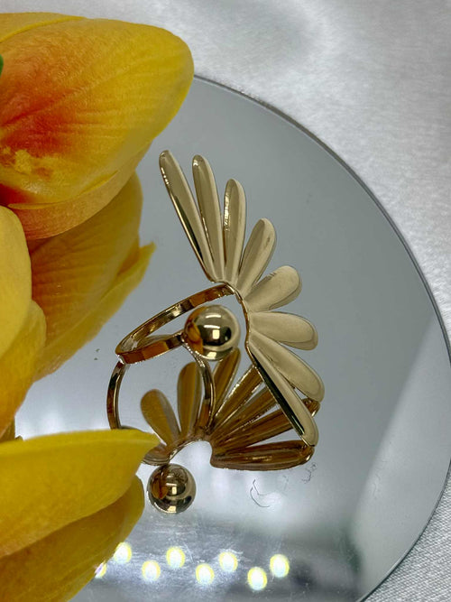 Anello Raggio