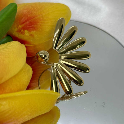 Anello Raggio
